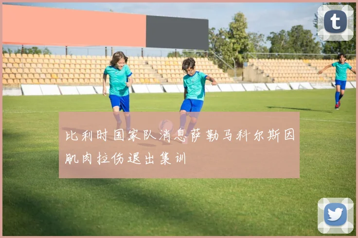 比利时国家队消息萨勒马科尔斯因肌肉拉伤退出集训
