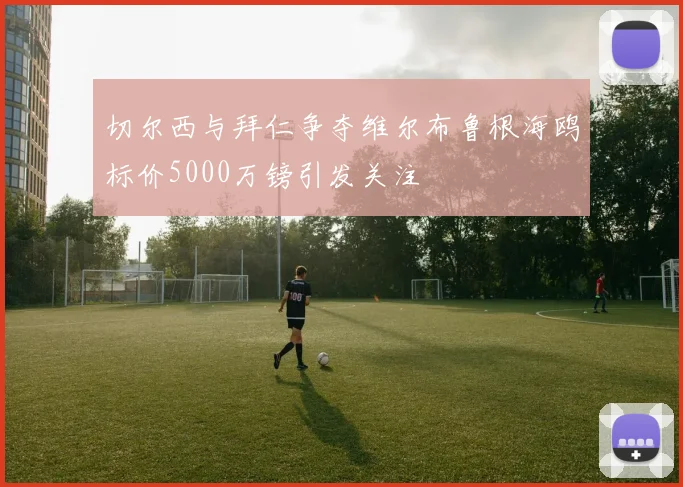 切尔西与拜仁争夺维尔布鲁根海鸥标价5000万镑引发关注
