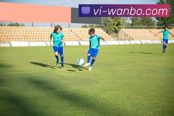 万博足球官网平台生态图